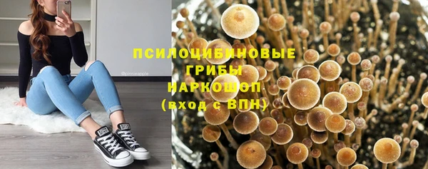ешки Магас