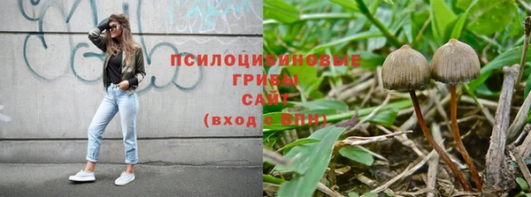 мдпв Магадан