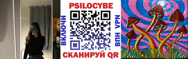 как найти закладки  Пойковский  Галлюциногенные грибы Psilocybe 